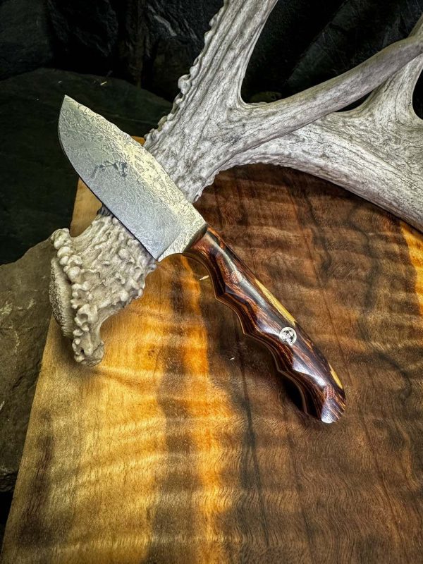 The Compact Knife, hunting knife, chef knife, hunting knife usa, handmade hunting knife, hunting knife under 100$, best hunting knife, Nitro V steel, ironwood burl knife