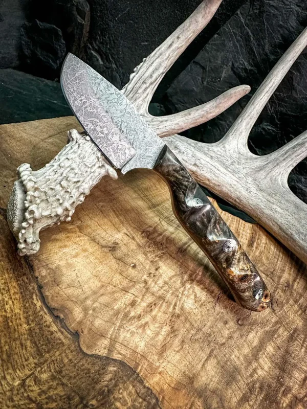 The Lynx EDC Knife, hunting knife, chef knife, hunting knife usa, handmade hunting knife, hunting knife under 100$, best hunting knife, EDC knife USA, Nitro V knife, buckeye burl knife