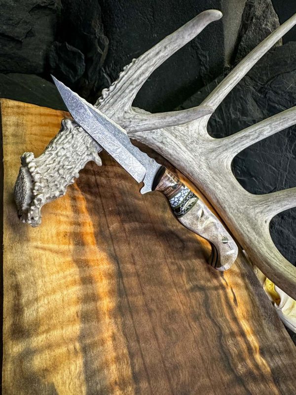 The Defender Tanto Knife, hunting knife, chef knife, handmade hunting knife, hunting knife under 100$, best hunting knives, hunting knives for sale, hunting knife usa, buck hunting knifes, hunter knifes, cutco hunting knifes, benchmade hunting knifes, the hunted knives, good hunting knives, hunting knifes, hunter dual knife set