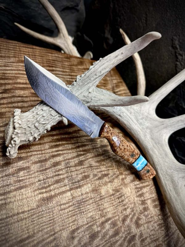 The Damascus Cub Knife, hunting knife, chef knife, handmade hunting knife, hunting knife USA, hunting knife under 100$, best hunting knifes, hunter knifes, buck hunting knifes, benchmade hunting knifes, cutco hunting knifes, cheif knife, best cheif knife, cheif knifes, cheifs knife, best cheifs knife, hunting knifes, hunter dual knife set, hunting knives, best hunting knives, hunting knives for sale, good hunting knives, the hunted knives